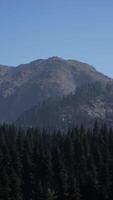 A mountain range with trees in the foreground and a blue sky in the background video