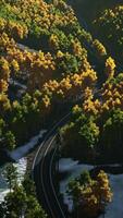 A scenic view of a road surrounded by trees video