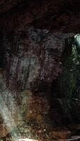A cave with sunlight coming through the rocks video