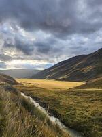 A view of a river flowing through a grassy field photo