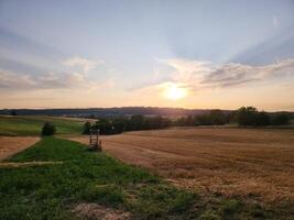 A field with a sunset in the background photo