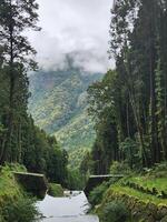 A river running through a forest with trees and mountains photo