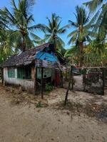 A small shack with a fence and palm trees photo