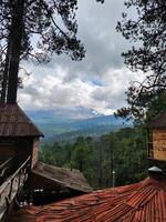 A view of a cabin from the top of a hill photo