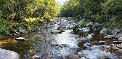 A river flowing through a forest with rocks and trees photo
