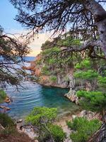 The beach is surrounded by trees and rocks photo