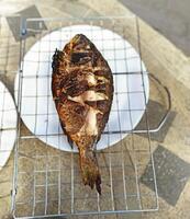Grilled fish resting on a wire rack on a tiled surface after a delicious outdoor cooking session photo