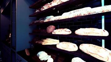 Assorted Breads Displayed on Shelves video