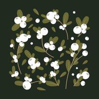Collection of mistletoe branches and berries for printing, design, decoration. vector