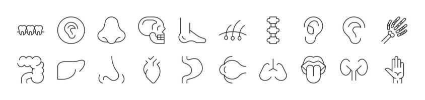 Internal Organs Simple Isolated Line Icons Collection. Editable Stroke. Suitable for Web Sites, Books, Cards, Apps vector