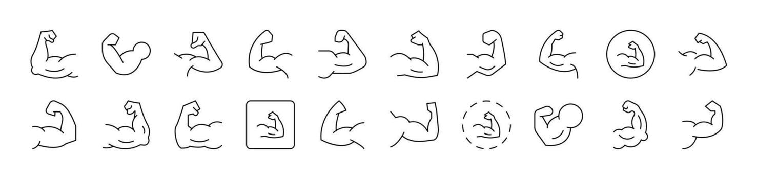 Muscles Icon Set for UI, Placards, Books, Apps. Editable Stroke. Suitable for Web Sites, Books, Cards, Apps vector