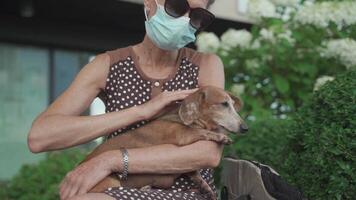 Ederly woman in medical mask sits on bench in city and disinfects her dog dachshund hands and paws with antiseptic. Senior female masked with pet use anitizer in park during quarantine covid 19. video