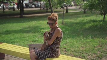 An elderly female on a rest in an embrace with a pet on a bench in a summer park. A mature woman with a dachshund dog sits on a bench in a city park in sunny weather. Lifestyle. Owner and animal. video