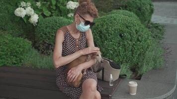 A lone senior woman in mask spends time with companion dog sitting on park bench near home, use sanitizer during coronavirus quarantine. Elderly in face mask with pet disinfects hands with antiseptic. video