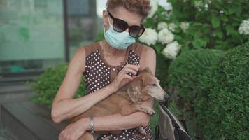 Senior woman in protective mask resting on bench in city with small dog Dachshund breed. Elderly female and pet on bench during quarantine coronavirus. Masked mature owner with dog sitting in park. video