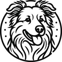 Portrait of a Australian Shepherd Dog isolated on white background, vector