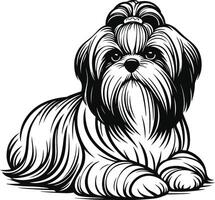 Shih tzu dog coloring pages vector