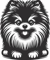 Portrait of a Pomeranian Dog isolated on white background Dog Silhouettes. vector