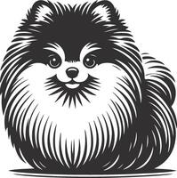 illustration of a pomeranian dog vector