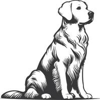 drawing of a golden retriever vector