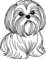 Shih tzu coloring pages vector