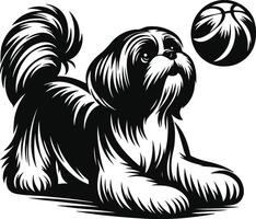 Shih tzu dog playing basketball vector