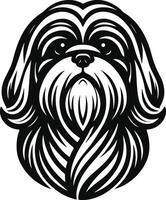 Shih tzu dog illustration vector