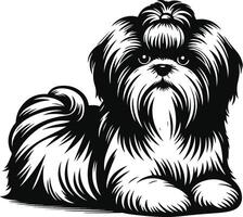 Shih Tzu dog illustration vector