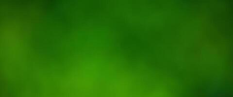 natural blurred background. bokeh green foliage shrubs and trees photo