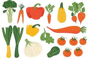 Set of various kinds of vegetable, isolated on a white background. vector