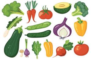 kinds of fresh vegetable isolated on a white background. vector