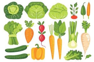 Seamless pattern of fresh vegetables. Collection of hand drawn vegetable illustrations vector