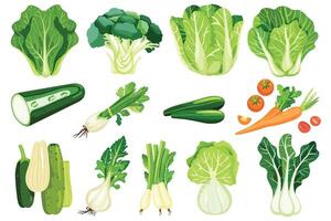 Collection of fresh vegetable icon illustrations isolated on white background vector