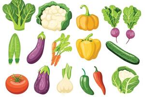 set of vegetable isolated on a white background. vector