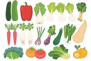 set of vegetable icon isolated on a white background. vector