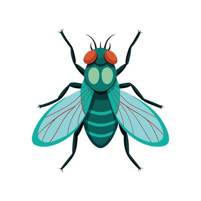 Fly icon in flat style