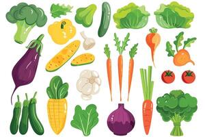 Collection of hand drawn vegetable illustrations isolated on white background. Set of various kinds of vegetable, isolated on a white background. vector
