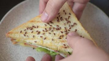 Sandwich with toast bread, meat, cheese, sauce, salt and spices on a dark texture background video