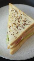 Sandwich with toast bread, tomatoes, cheese, sauce, salt and spices on a dark texture background video