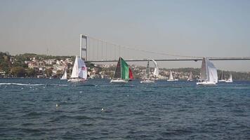 Turkey istanbul 12 january 2023. Participating in a Sailing Regatta Held Under a Stunning Bridge in a Scenic Coastal Setting video