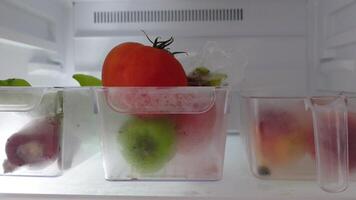 plastic containers with different fruits in a open fridge. video
