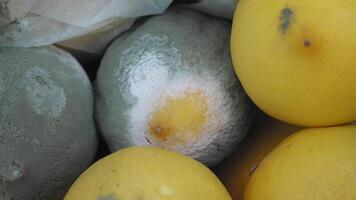 closeup of Molded lemon on table . video
