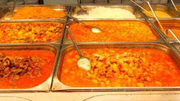 An Extensive and Colorful Array of Authentic Indian Dishes Displayed in a Buffet Setting video