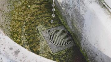 A Dirty Drain with Water Dripping Consistently into a Mossy and Grimy Basin Area video