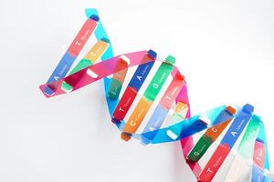 Deoxyribonucleic acid or DNA, double helix chains structure formed by base pairs attached to a sugar phosphate backbone. photo