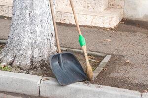 Broom and shovel leaning against tree after sweeping leaves photo