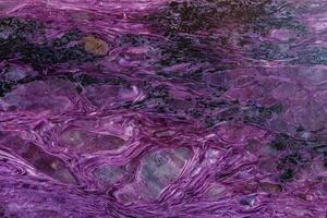 macro mineral stone Charoite on a white background photo