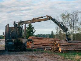 Loading logs using hydraulic machinery on logging truck photo