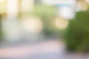 Blurred forest background photo