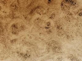 A detailed close-up of a brown textured surface with natural, abstract organic patterns, creating an earthy aesthetic photo